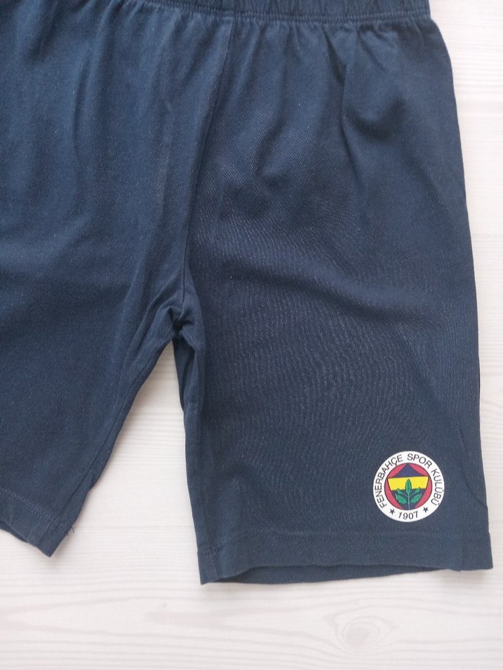 Gri Baskılı Erkek Çocuk şortluTakım ıfeneryum - Görsel 4