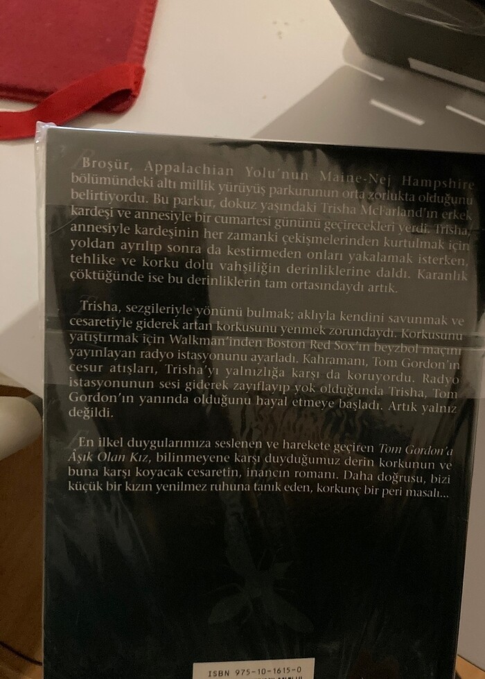 Stephen King Tim Gordon?a Aşık olan Kız - Görsel 2