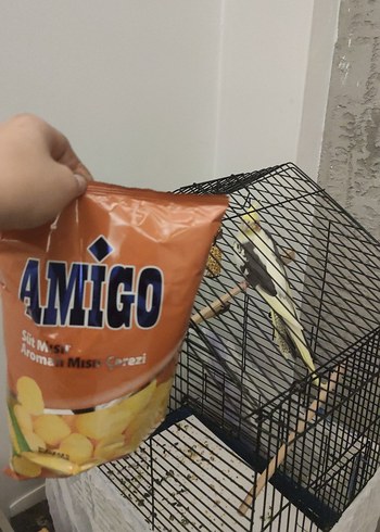 Amigo Süt Mısırı Aromalı Mısır Çereali - Görsel 5