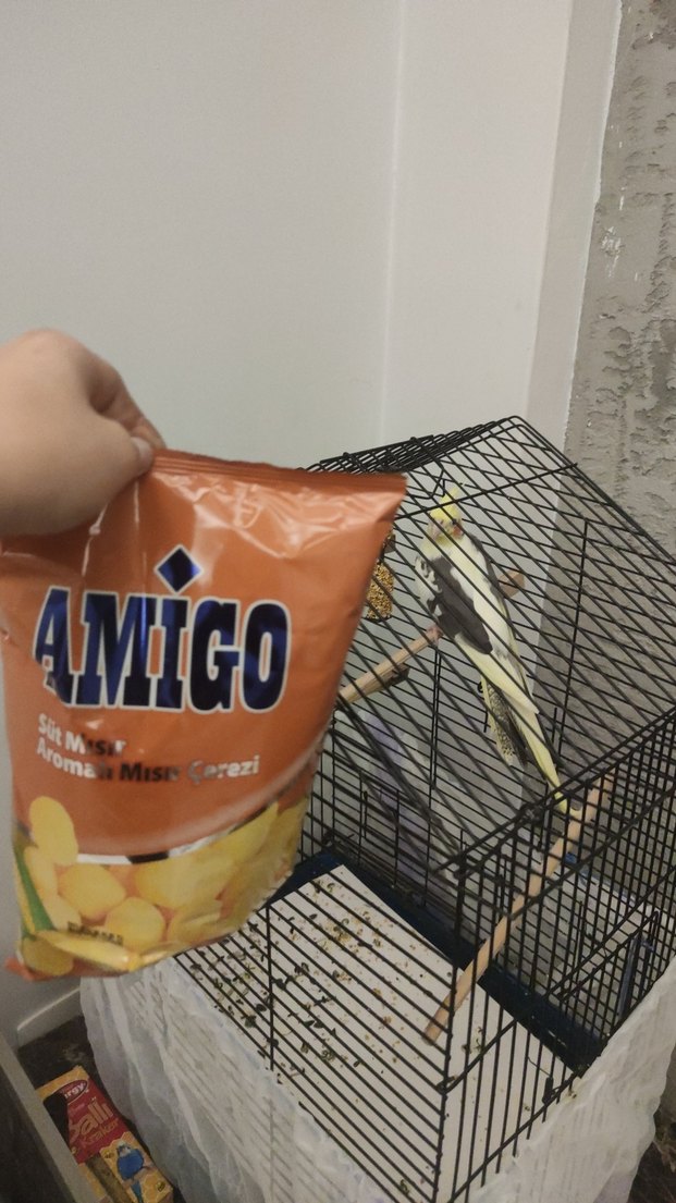 Amigo Süt Mısırı Aromalı Mısır Çereali - Görsel 5