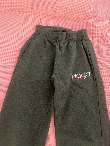Diğer Maya okulları