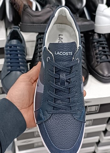 Lacoste 40