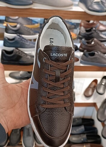İçi dışı hakiki deri lacoste spor ayakkabı  - Görsel 3