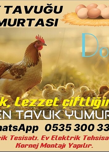 Köy TAVUĞU YUMURTASI 30 ad