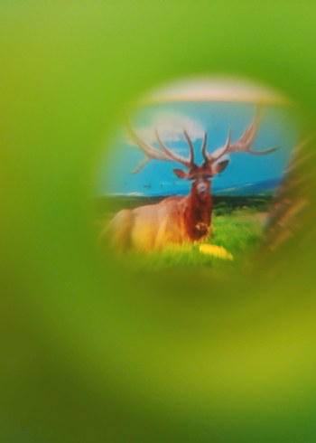 oyuncak fotoğraf makinesi - Görsel 5