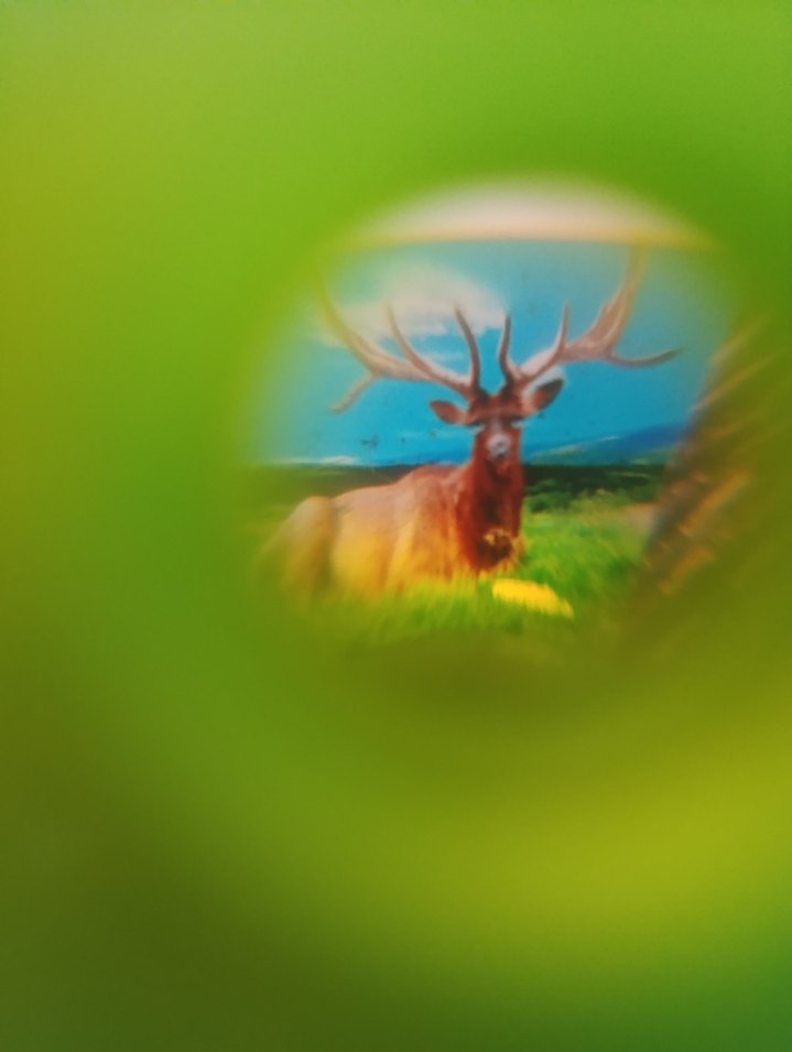 oyuncak fotoğraf makinesi - Görsel 5