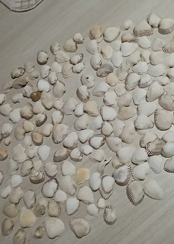 Beyaz Deniz Kabuklu Bohem Dekoratif Tabak - Görsel 5