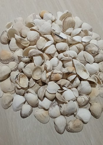 Beyaz Deniz Kabuklu Bohem Dekoratif Tabak - Görsel 2