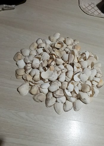 Beyaz Deniz Kabuklu Bohem Dekoratif Tabak - Görsel 6