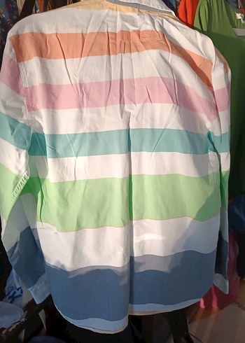 U.S Polo Assn. Çok Renkli Pamuklu Erkek Gömlek