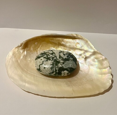 Ağaç Yosunlu Akik El Taşı / Moss Tree Agate Palmstone