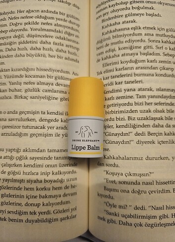 Drunk Elephant dolgunlaştırıcı lip balm 
