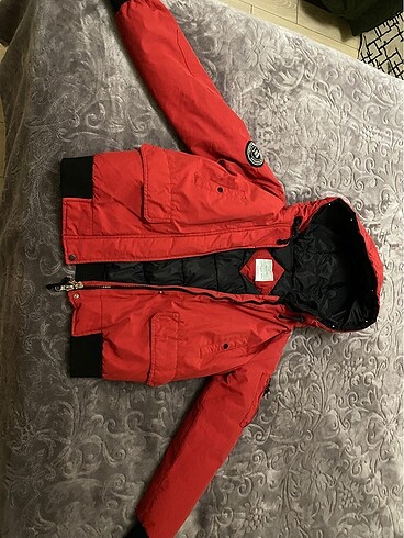 bershka mont