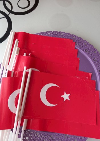 Türk Bayrağı - Görsel 2