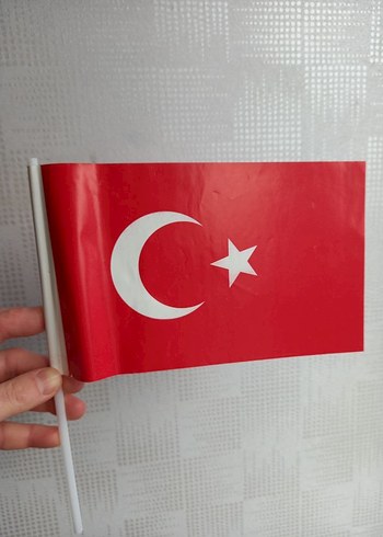 Türk Bayrağı - Görsel 6