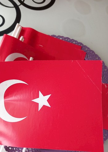 Türk Bayrağı - Görsel 3