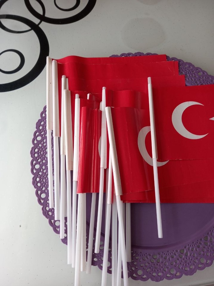 Türk Bayrağı - Görsel 4