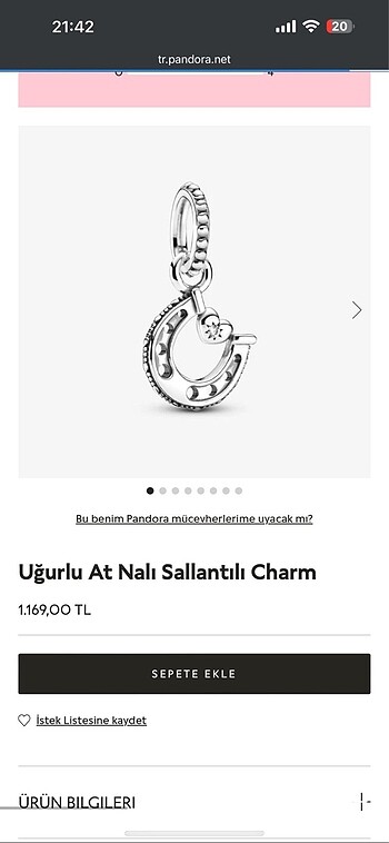Pandora Pandora Sallantılı Charm
