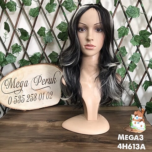 Mega3/4H613A