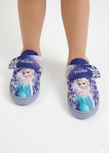 Walt Disney World 35