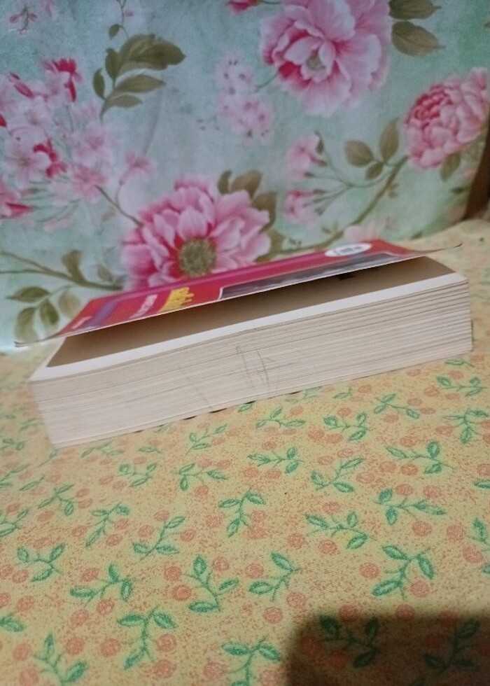 Mehmet Akif Ersoy Safahat - Görsel 2