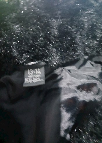 Kürk Detaylı Siyah yelek - Görsel 2