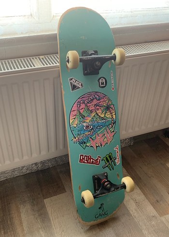 Gang Turkuaz Renkli Profosyonel Kaykay