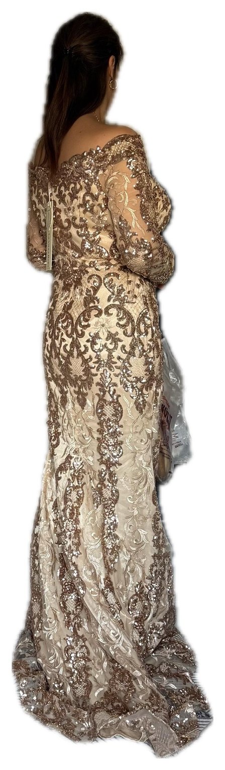 Bej Dantelli V Yaka Uzun Abiye Elbise - Görsel 2