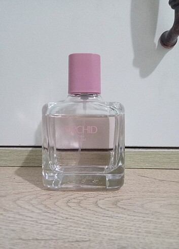 Zara Zara orchid