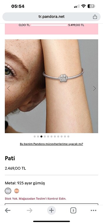 Pandora patı charm