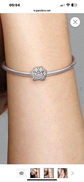Pandora Pandora patı charm
