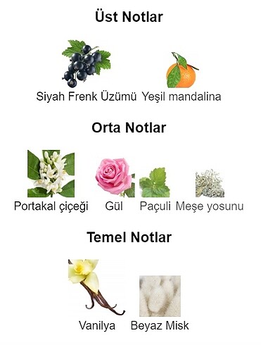 Armani Armani Si - Senfonia Parfüm