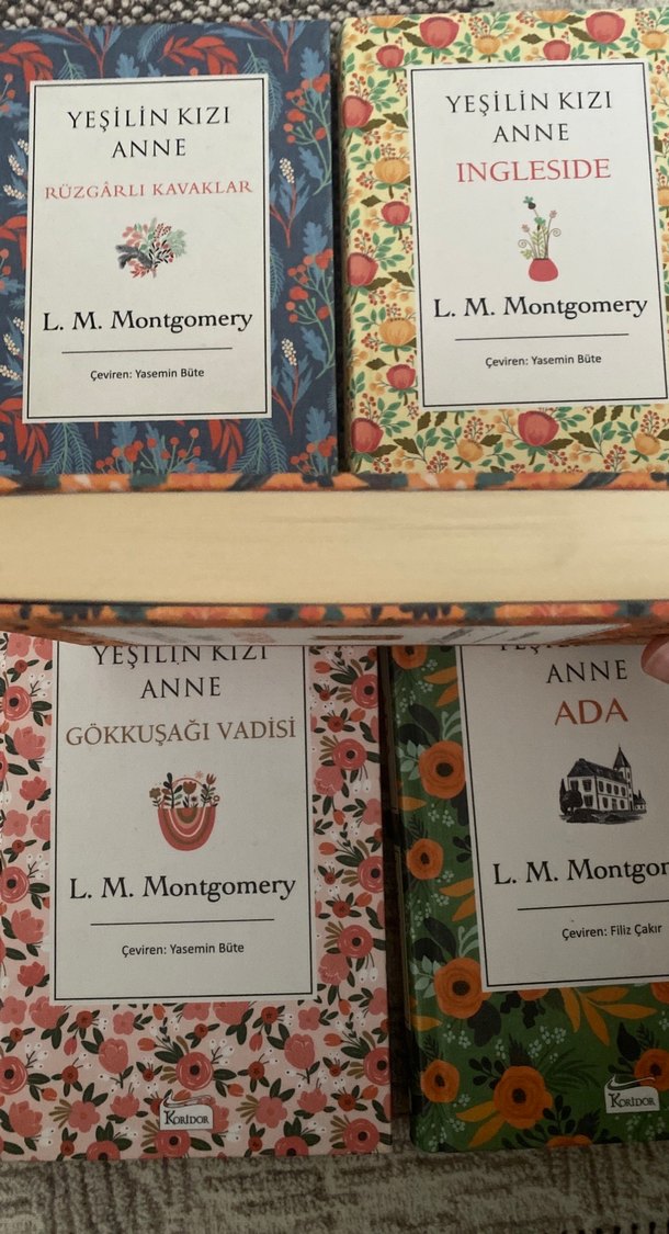 Yeşilin Kızı Anne Rüya Evi - L. M. Montgomery - Görsel 2