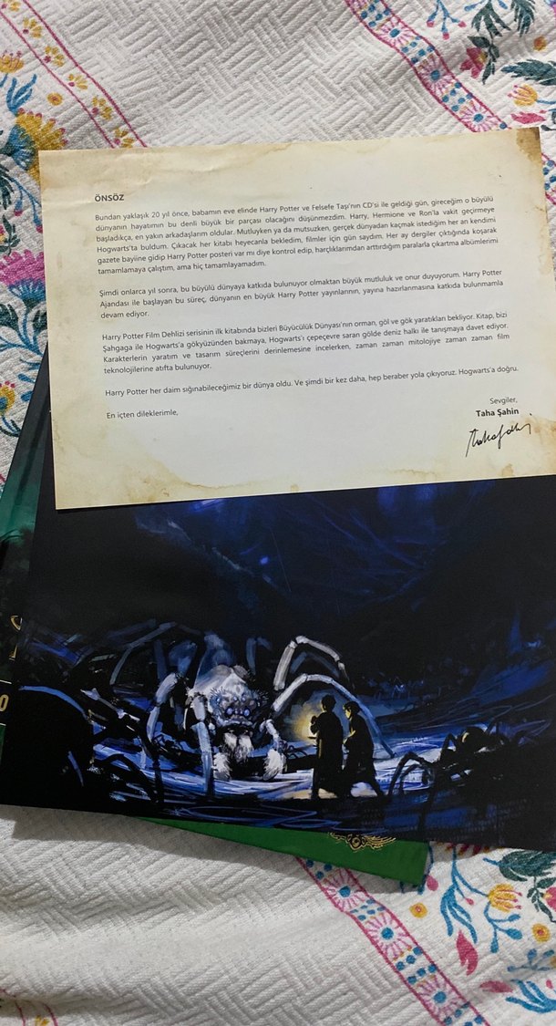 Harry Potter Film dehlizi - Görsel 2