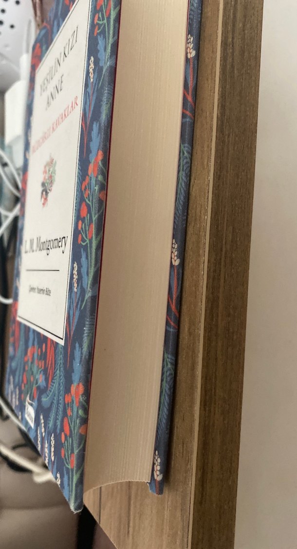 Yeşilin Kızı Anne - Rüzgarlı Kavaklar - Görsel 2