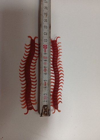 Plastik Kırkayak - Görsel 6