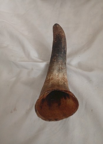 Bej Gri Yılan Desenli Kadın Kulak Manşonu - Görsel 4