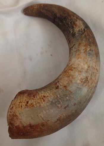 Bej Gri Yılan Desenli Kadın Kulak Manşonu - Görsel 2