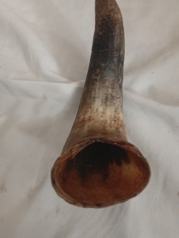 Bej Gri Yılan Desenli Kadın Kulak Manşonu - Görsel 3