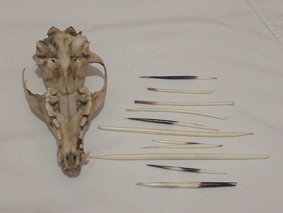 Bej ve Gri Manikür Pedikür Aletleri - Görsel 4