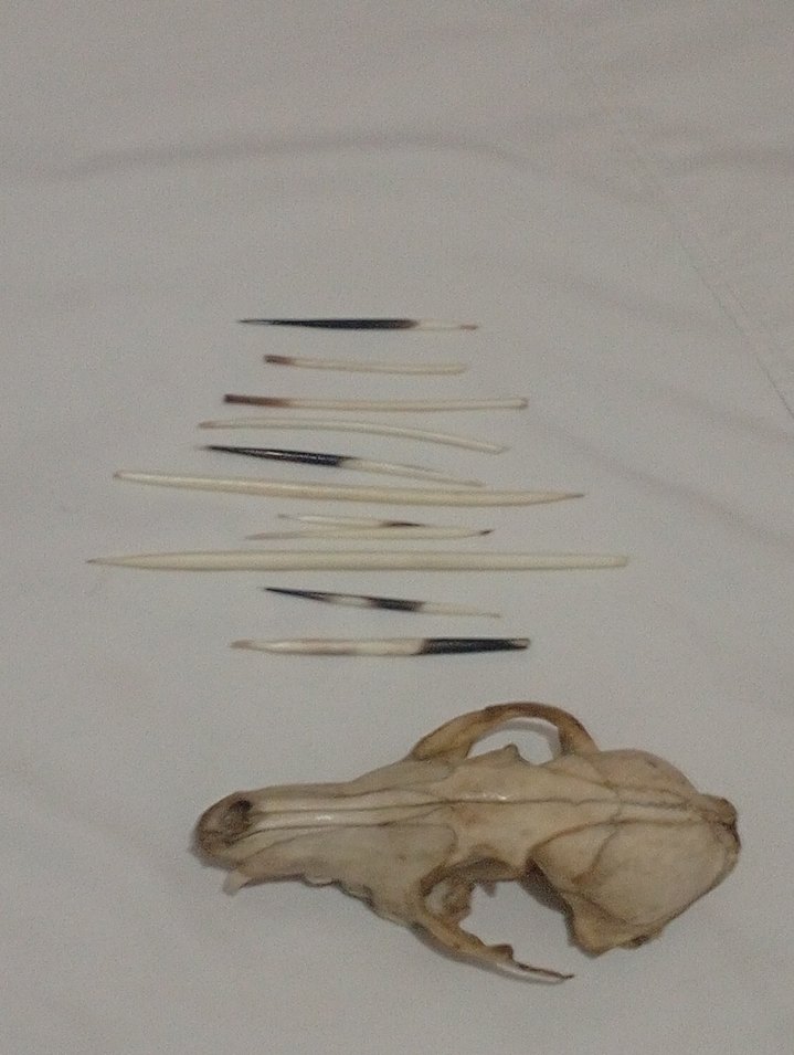 Bej ve Gri Manikür Pedikür Aletleri - Görsel 2