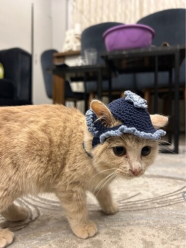 çiçekli kedi şapkası