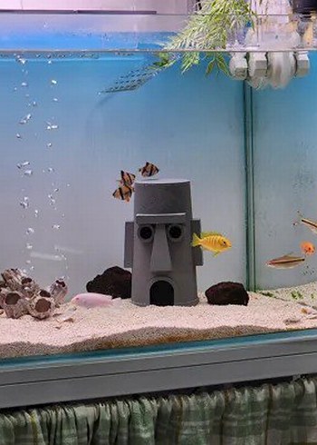Sünver bob Squidward evi Akvaryum Dekoru