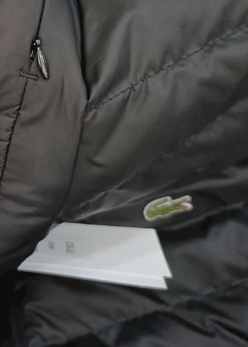 m Beden Lacoste Siyah Fermuarlı Erkek Mont