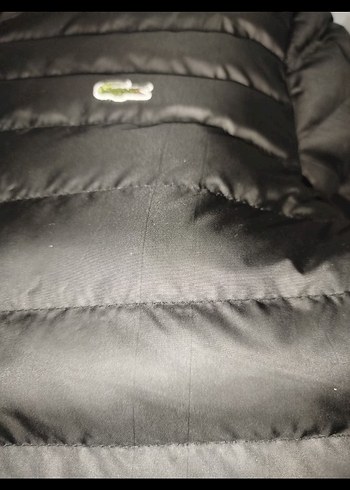 m Beden siyah Renk Lacoste Siyah Fermuarlı Erkek Mont