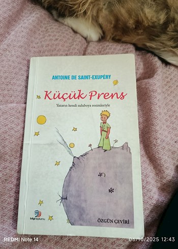 Küçük Prens - Özgün Çeviri