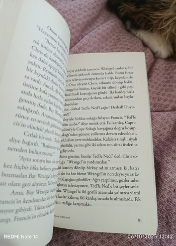 Haritada Kaybolmak - Vladimir Tumanov - Görsel 5