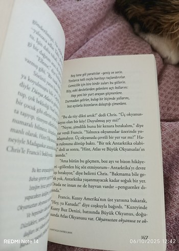 Haritada Kaybolmak - Vladimir Tumanov - Görsel 8