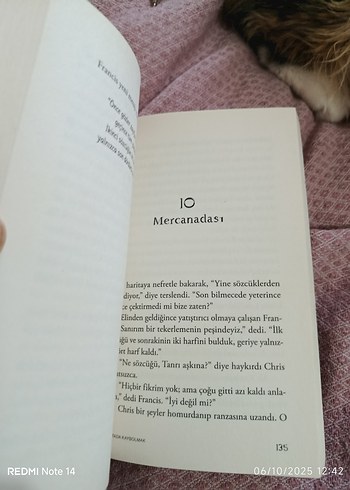 Haritada Kaybolmak - Vladimir Tumanov - Görsel 7