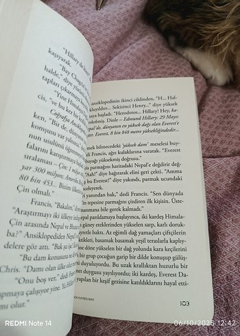 Haritada Kaybolmak - Vladimir Tumanov - Görsel 6